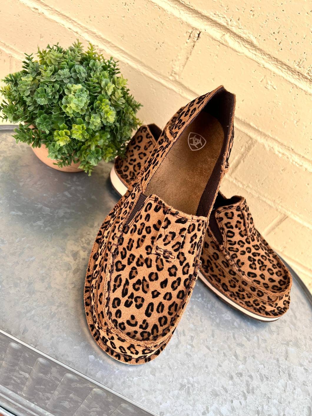 Women's Ariat Cruisers - Likely Leopard Style#10040355
