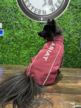 Load image into Gallery viewer, Team Softshell Dog Jacket Color: Windsor Wine
