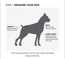 Load image into Gallery viewer, Team Softshell Dog Jacket Color: Windsor Wine
